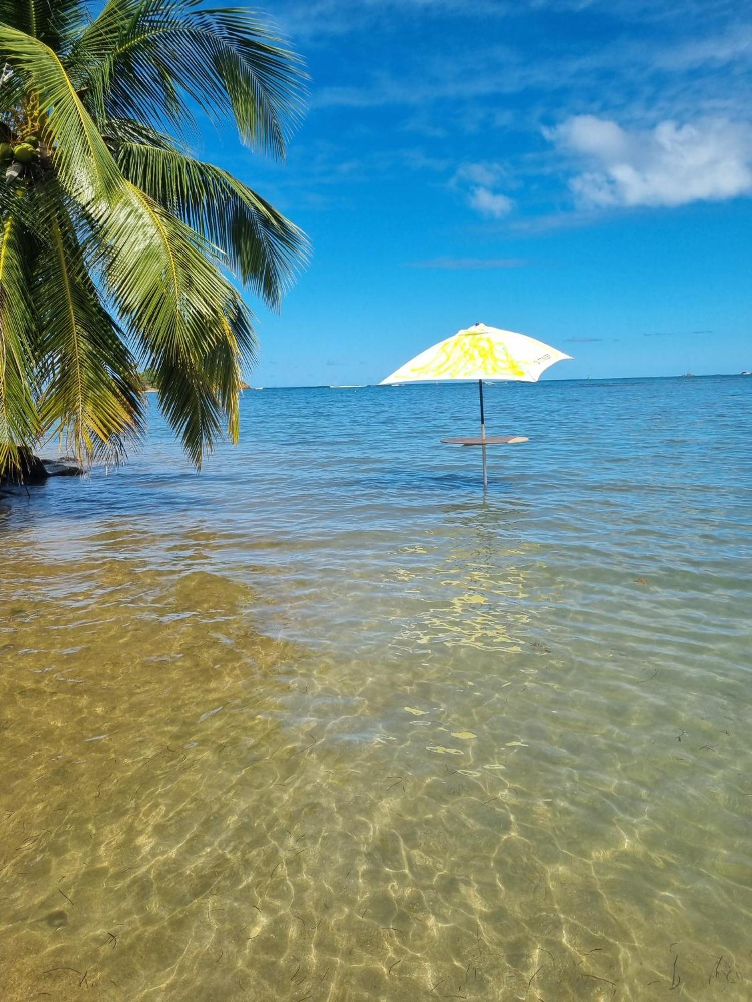Appartamento Kozy Kaz - Les Pieds Dans L Eau Trinite  Esterno foto