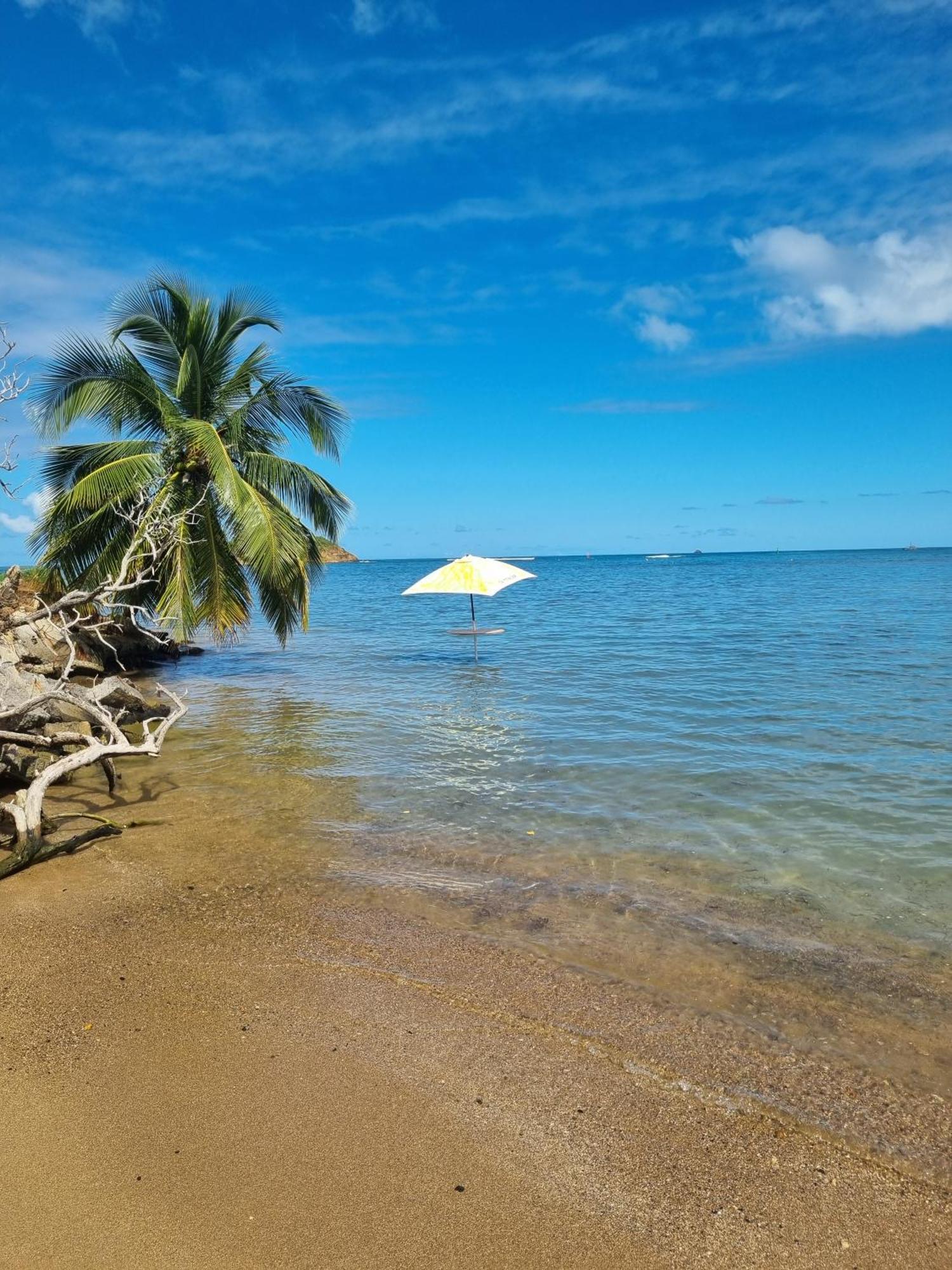 Appartamento Kozy Kaz - Les Pieds Dans L Eau Trinite  Esterno foto